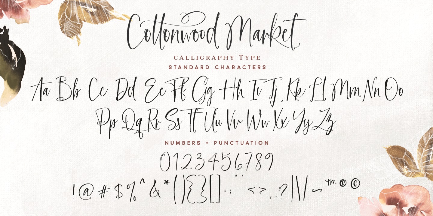 Cottonwood Market Regular Font preview